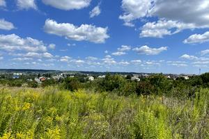 ділянка за адресою масив Проскурівський