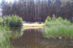 будинок за адресою Мирна