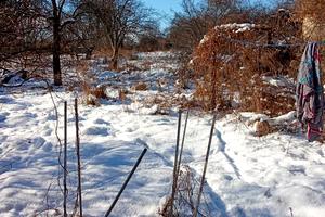 будинок за адресою Морських Піхотинців вул. (Мічуріна), 8