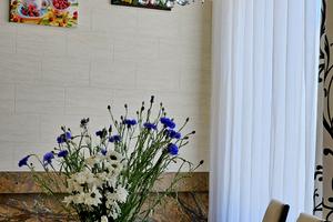 будинок за адресою Стецьківа, 47