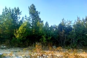 участок по адресу біля ЖК Ірпінь Сіті