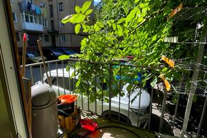 коммерческая по адресу Академика Сахарова ул., 46