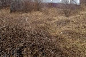 участок по адресу Музыкальная ул., 10