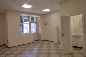 комерційна за адресою Дениса Рачінського вул. (Комбінатна), 25