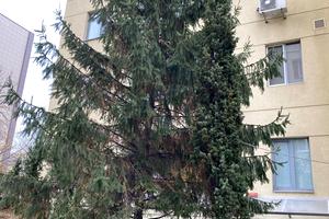 квартира по адресу Левка Лукʼяненка ул. (Василия Жуковского), 21-А