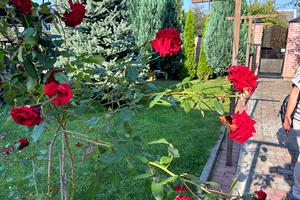 дом по адресу Гальцька, 11