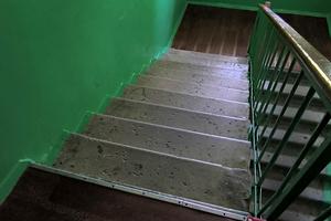квартира по адресу Виктора Френчка ул., 29