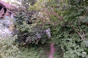 участок по адресу Зелена, 11