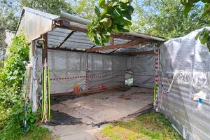 будинок за адресою с. Лозино, Січових Стрільців