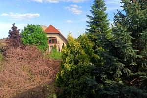 будинок за адресою Виноградна вул.