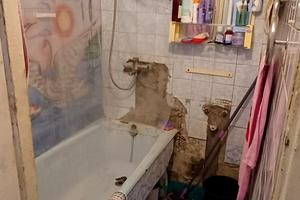 квартира за адресою Тракторобудівників просп., 77