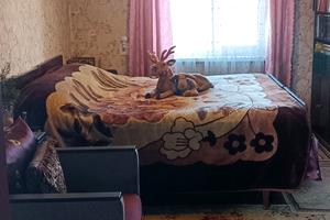 дом по адресу Садовая ул.