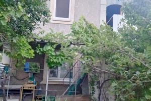 дом по адресу Аврора, 5