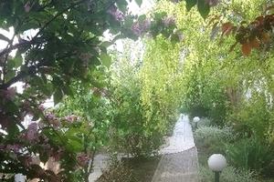 дом по адресу Солнечная, 12/4