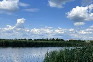 участок по адресу с. Новоселовка, Центральна, 52