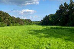 ділянка за адресою Львівська, 12