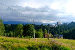 ділянка за адресою Горішків