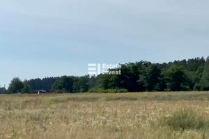 ділянка за адресою вул. Кичеївська