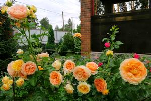 будинок за адресою Варшавська вул., 39