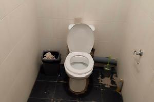 комерційна за адресою Любецька вул., 56