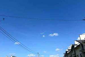 ділянка за адресою Романа Шухевича вул.