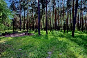 будинок за адресою французська, 1