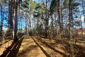 ділянка за адресою Котляревського вул., 37А