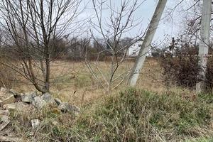 ділянка за адресою с. Черніїв, 