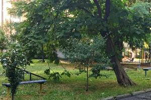 кімната за адресою Нова вул., 19