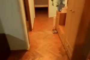 квартира по адресу Михаила Горыня ул. (Скрипника), 7