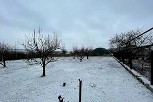 будинок за адресою Центральная