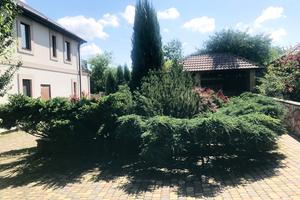 дом по адресу маяковского