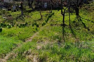 дом по адресу Провулок Подільський, 30
