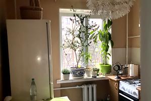 квартира по адресу Академика Белецкого ул., 5-А