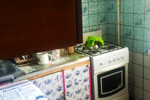 квартира по адресу Коломыйский пер., 7