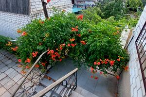 дом по адресу Купорная ул., 94