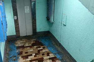 квартира по адресу Николаевская дорога ул., 299