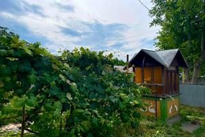 будинок за адресою Гідністі, 43