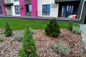 квартира за адресою Юліана Пелеша вул., 1а