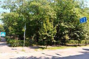 комерційна за адресою Уманська вул., 25
