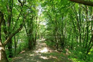 ділянка за адресою Краматорський пров.
