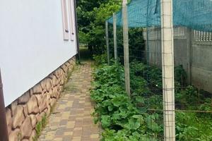 дом по адресу маяковского
