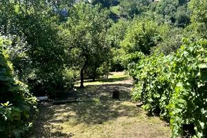 будинок за адресою Катерини Білокур вул. (Берінга)