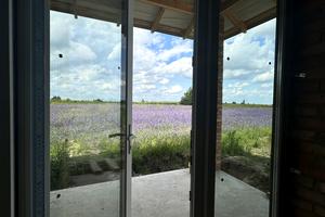 будинок за адресою с. Городище, Приміська, 1