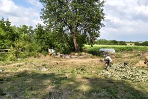 будинок за адресою с. Очеретувате, Степова, 28