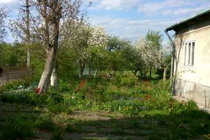 будинок за адресою Центральна, 41