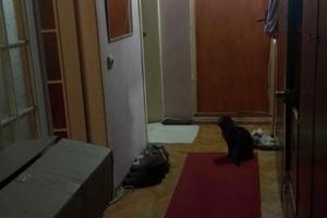 квартира по адресу Академика Заболотного ул., 59