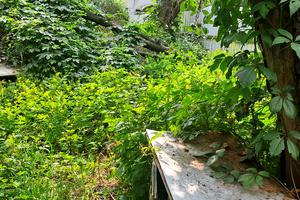дом по адресу Караїмський пер. (Донський), 8