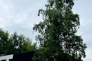 будинок за адресою Володимирська вул.