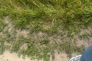 участок по адресу Садова